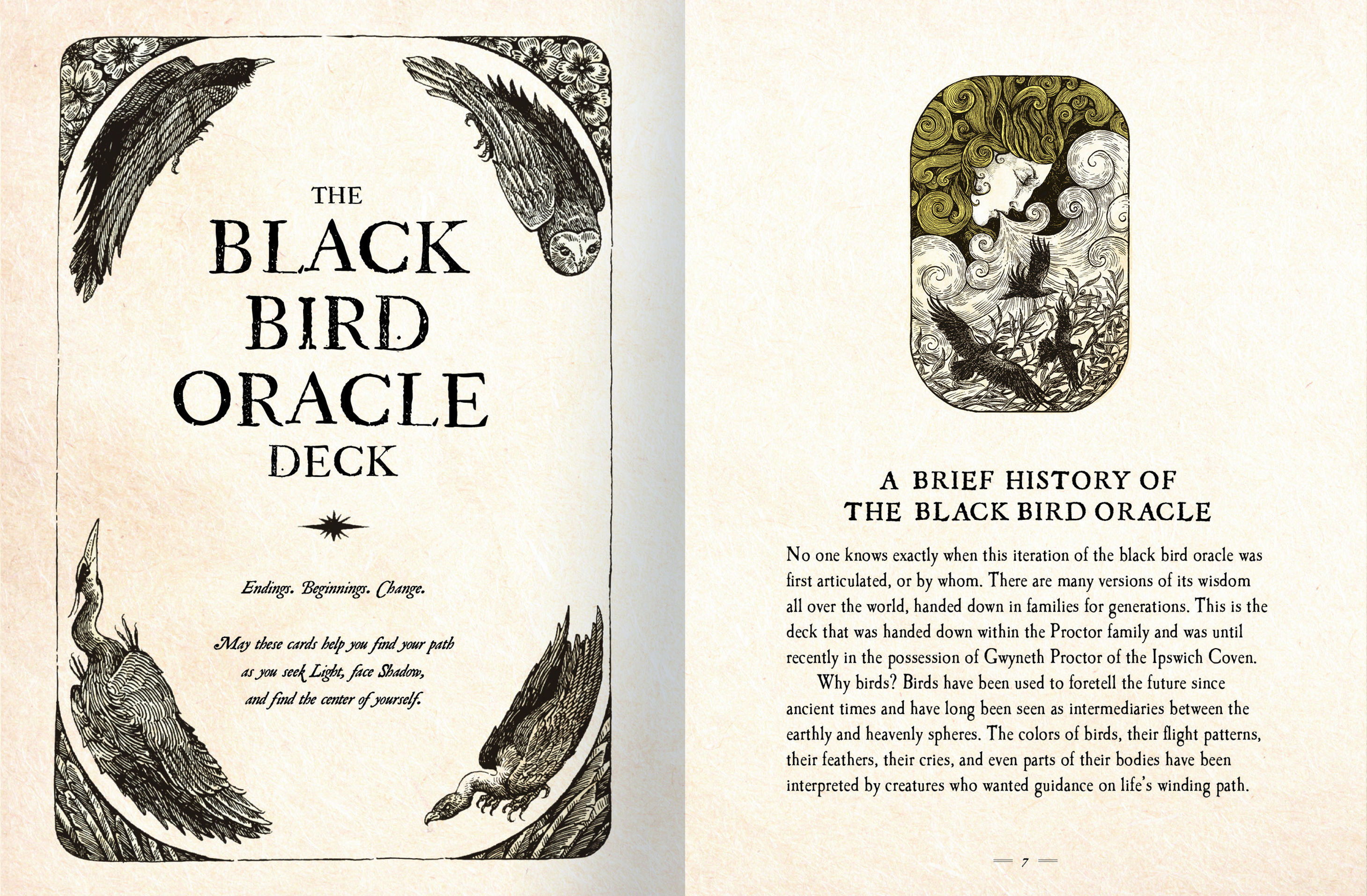 The Black Bird Oracle Deck | Penguin Random House Retail